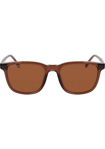 L 6029S 210 53 Unisex Oval Kahverengi Kemik Güneş Gözlüğü fiyatları