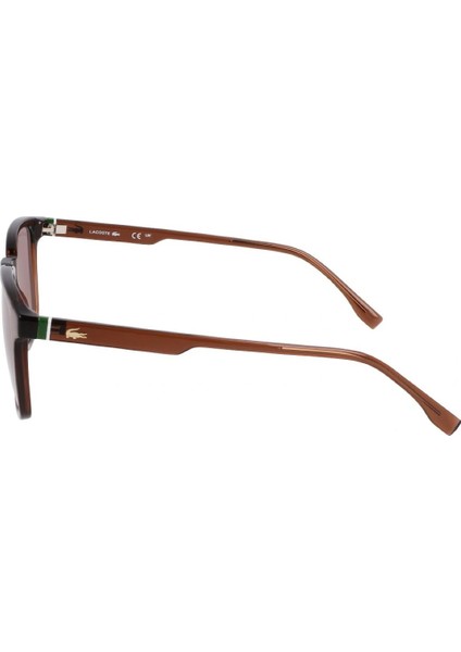 L 6029S 210 53 Unisex Oval Kahverengi Kemik Güneş Gözlüğü modelleri