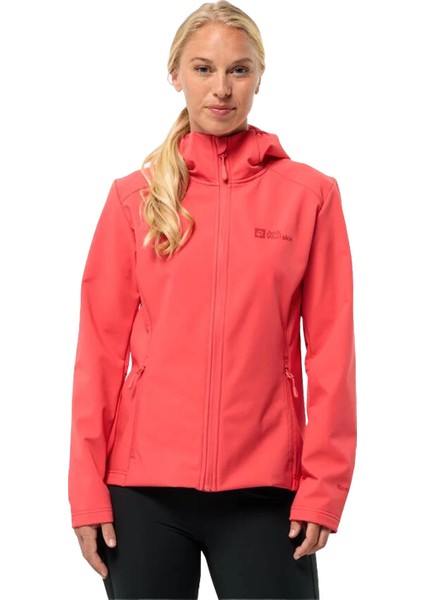 Bornberg Kadın Softshell fiyatları