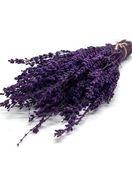 Şoklanmış Lavanta Demeti Natural Lavender Bundle Mor 40-50 cm