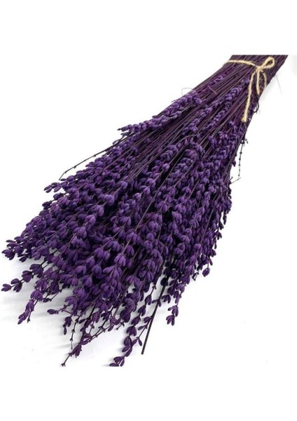 Şoklanmış Lavanta Demeti Natural Lavender Bundle Mor 40-50 cm