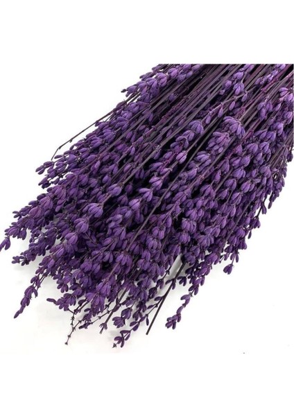 Şoklanmış Lavanta Demeti Natural Lavender Bundle Mor 40-50 cm