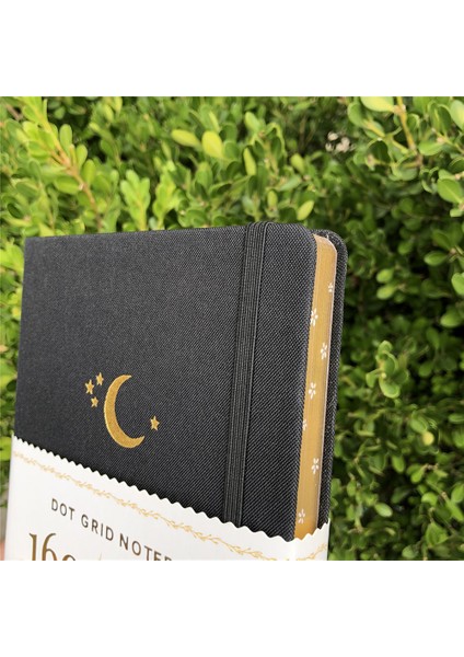 Elma Mavisi Stili A5 Altın ​​kenarlar A5 Hilal Nokta Izgara Defter Noktalı Dergi Altın Kenarları Yan Sakura Oyma 160GSM Bambu Kalın Beyaz Renkli Kağıt (Yurt Dışından)