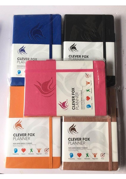 Şampanya Altın Stili A5 Aylık Haftalık Planlayıcı Ajanda Düzenleyici Günlüğü Defter Kırtasiye Hediye Günlük Hedef Takip Planı A5 Deri Ciltli Ofis Planı (Yurt Dışından) modelleri