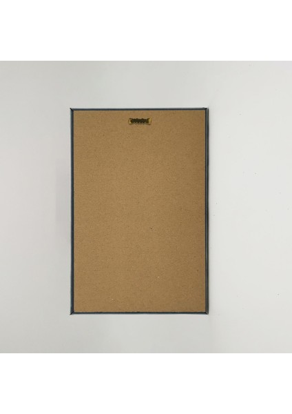 Çok Renkli Çemberlitaş Baskılı Doğaltaş Tablo 20CMX30CM DRT-015