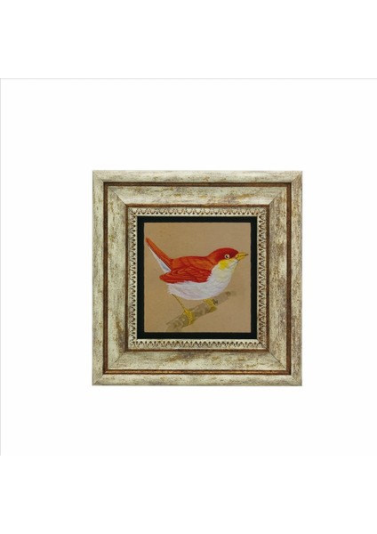 Çok Renkli Kuş Baskılı Doğaltaş Tablo 20CMX20CM KRG-157