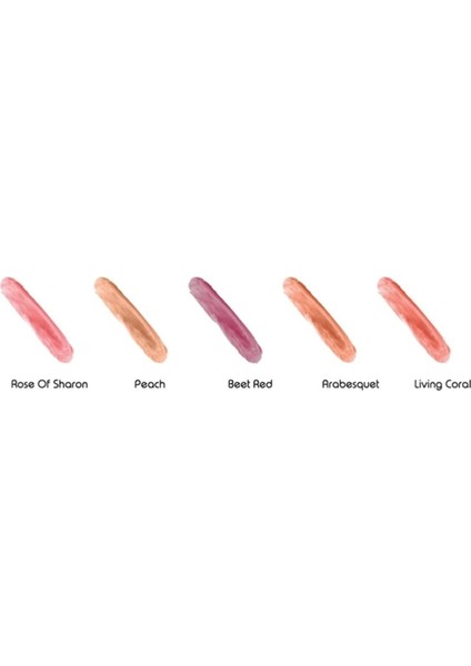 Çok Amaçlı Stick Allık, Far, Dudak Renklendirici & Lip Cheek Eye Tint-vegan & Temiz Içerikrv111