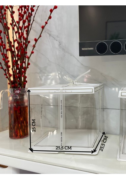 Gümüş Luxury Boxes Tekli Bohça Kutusu Large Plastik 4 Parça