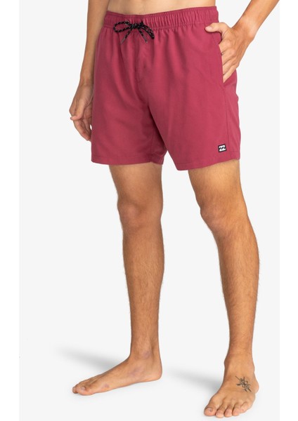 Bıllabong All Day Lb Blood Erkek Volley Short EBYJV00134-42 fiyatları