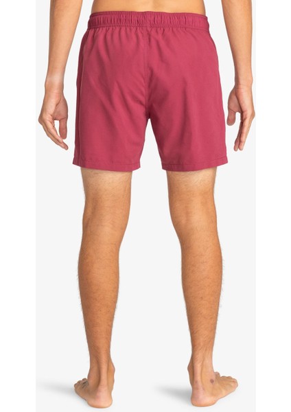 Bıllabong All Day Lb Blood Erkek Volley Short EBYJV00134-42 modelleri