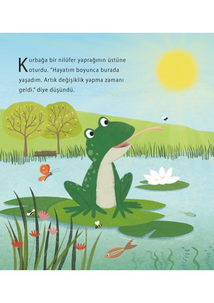 Kurbağa’nın Yaz Yolculuğu - Anita Lougrey fiyatları