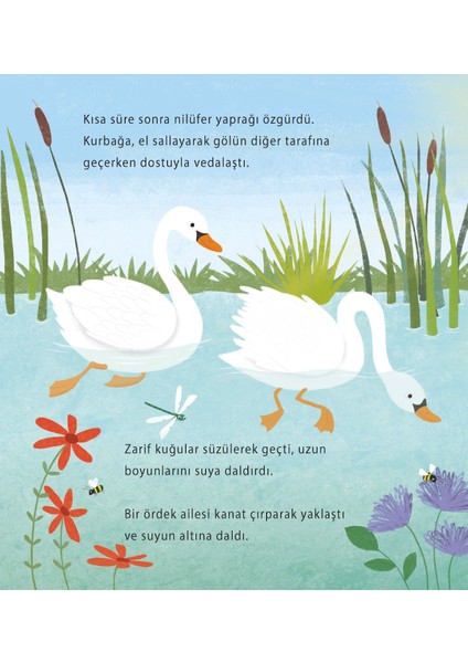 Kurbağa’nın Yaz Yolculuğu - Anita Lougrey fırsatları