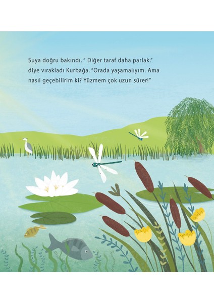 Kurbağa’nın Yaz Yolculuğu - Anita Lougrey