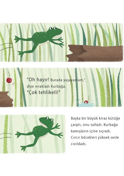 Kurbağa’nın Yaz Yolculuğu - Anita Lougrey