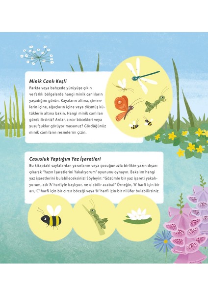 Kurbağa’nın Yaz Yolculuğu - Anita Lougrey