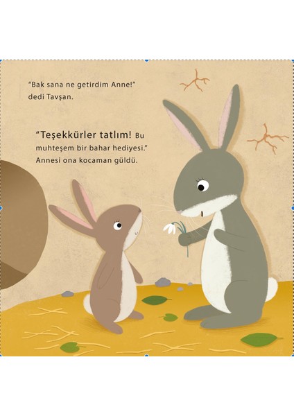 Tavşan’ın İlkbahar Hediyesi – Anita Lougrey modelleri