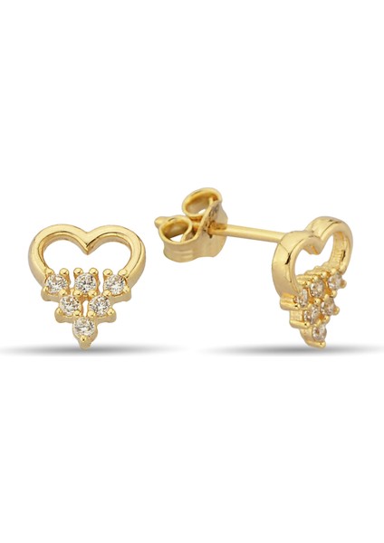 Taşlı Kalpli Çivili Altın Küpe CGKKP042