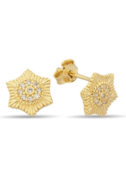 Taşlı Çivili Altın Küpe CGKKP047