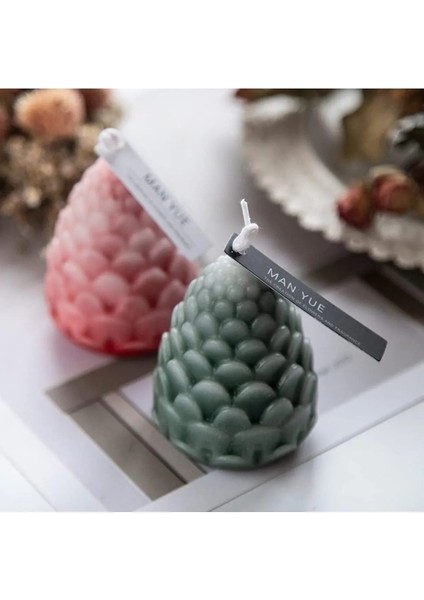 Mum Sabun Pasta Jöle Kalıbı fırsatları