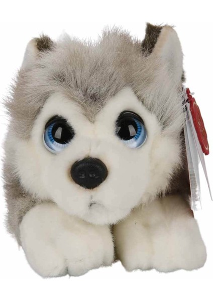 25 cm Husky Peluş - Sevimliliğiyle Kalpleri Fethedecek!