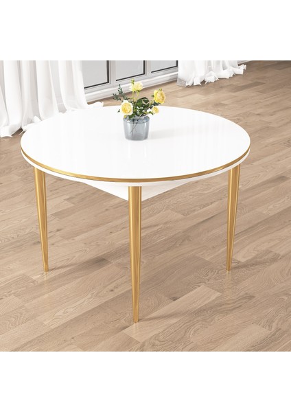 Osle Serisi 80X132 Sabit Beyaz Mutfak Masa Takımı 4 Sandalye Gold Detay fırsatları