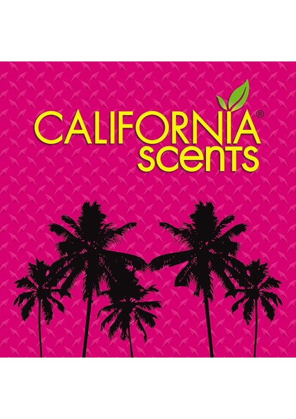 California Scents - Car Scents Santa Barbara Berry Dut Oto Kokusu modelleri