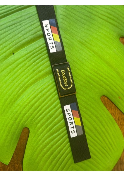 25X2,50 cm Çelik Tokalı Dikiş Giyim Aksesuarı Arma fiyatları