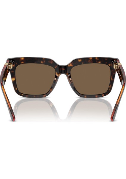 4419 300273 54 Kadın Güneş Gözlüğü Kadın Güneş Gözlüğü modelleri