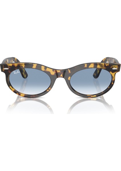 2242 13323F 50 Unisex Güneş Gözlüğü Unisex Güneş Gözlüğü indirimleri