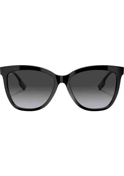 4308 385387 56 Kadın Güneş Gözlüğü fiyatları