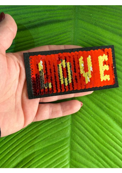 11X5 cm Ütü Ile Yapışan Pul Payetli Love Yazı Arma Aplike