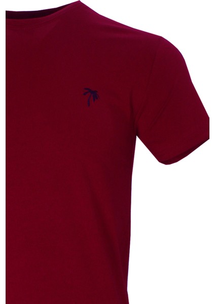 Erkek Koyu Bordo Bisiklet Yaka Likralı Pamuklu Kısa Kollu T Shirt modelleri