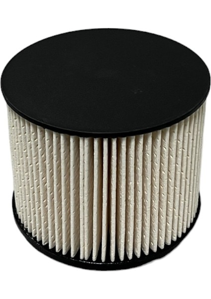 Citroen Jumpy (2.0 Hdi 72-94-120 Kw) 2010-2016 Yakıt Filtresi modelleri