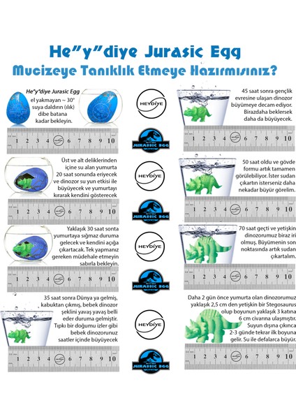 He”y”diye Jurassic Egg Mucize Dinozor Yumurtası (3 Adet)