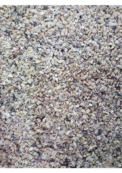 Midye Kırığı 100 gr