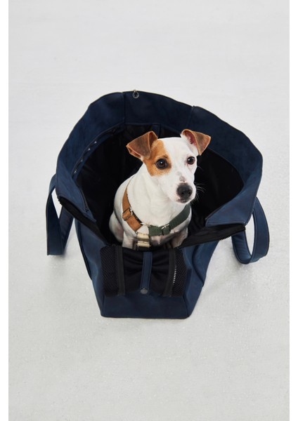 Indigo Pet Taşıma Çantası modelleri
