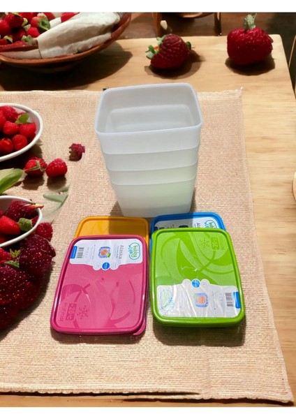 4 Adet 1,1 Lt Alaska No Frost Saklama Kabı, Derin Dondurucu Kabı fiyatları