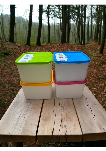 4 Adet 1,1 Lt Alaska No Frost Saklama Kabı, Derin Dondurucu Kabı modelleri