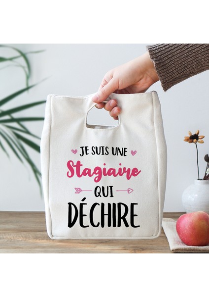 9ATSEM0016 Stili Süper Atsem Baskı Öğle Yemeği Çantası Yaz Soğutucu Çanta Yalıtımlı Termal Çanta Astem Hediye Öğle Yemeği Kutusu Yıl Sonu Öğretmen Hediye (Yurt Dışından) fırsatları