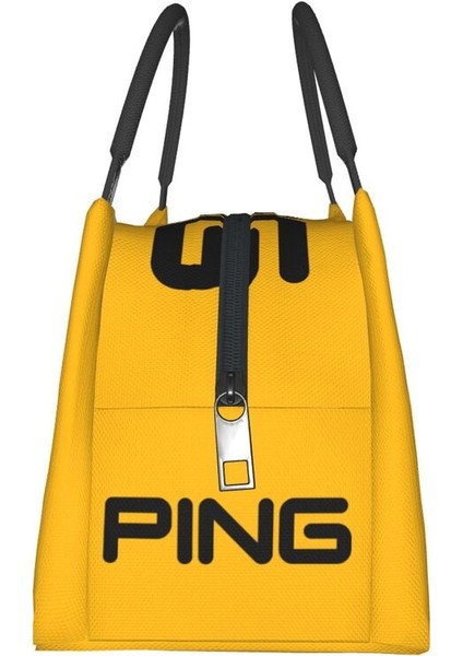 No.13 Tarzı 28X18X16,5CM Outdtable Soğutucu Termal Öğle Yemeği Kutusu Kadınlar Için Golf Logo Yalıtımlı Öğle Yemeği Çantası (Yurt Dışından) indirimleri
