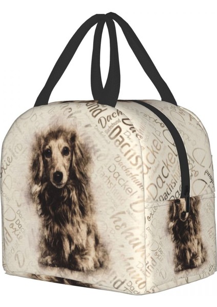 No.4 Stili 22X20X13CM Uzun Saçlı Dachshund Köpek Yalıtımlı Öğle Yemeği Çantası Kadınlar Için Taşınabilir Porsuk Sosis Wiener Termal Soğutucu Yemek Kabı Seyahat (Yurt Dışından) modelleri