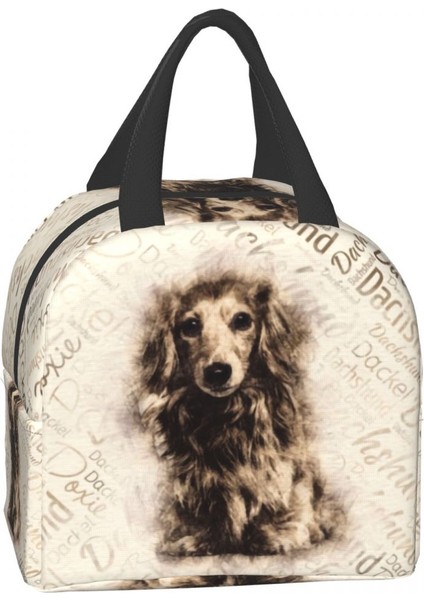 No.1 Stili 22X20X13CM Uzun Saçlı Dachshund Köpek Yalıtımlı Öğle Yemeği Çantası Kadınlar Için Taşınabilir Porsuk Sosis Wiener Termal Soğutucu Yemek Kabı Seyahat (Yurt Dışından) modelleri