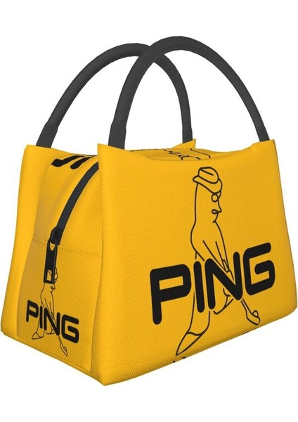 No.20 Tarzı 28X18X16,5CM Outdtable Soğutucu Termal Öğle Yemeği Kutusu Kadınlar Için Golf Logo Yalıtımlı Öğle Yemeği Çantası (Yurt Dışından)