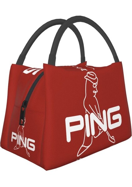 No.17 Tarzı 28X18X16,5CM Outdtable Soğutucu Termal Öğle Yemeği Kutusu Kadınlar Için Golf Logo Yalıtımlı Öğle Yemeği Çantası (Yurt Dışından)