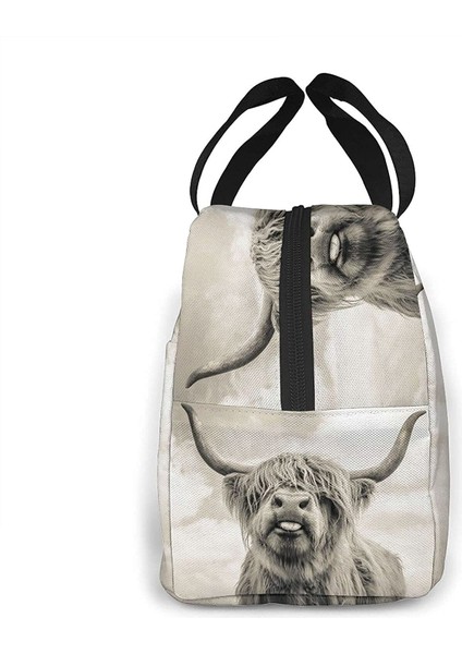 No.4 Stili Erkekler Kadınlar Için Komik Yayla Inek Öğle Yemeği Çantaları Yalıtımlı Öğle Yemeği Kutusu Soğutucu Tote Çanta Iş Seyahati Için, Çok Renkli (Yurt Dışından) fırsatları