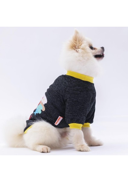 Siyah Shine Kedi Köpek Sweati modelleri