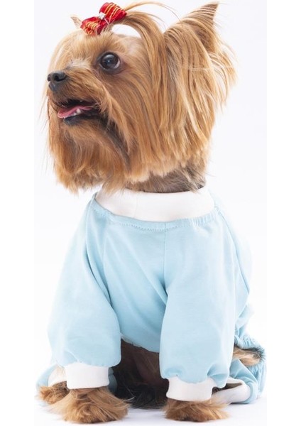 Bebe Mavi Giraffe Kedi Köpek Pijaması modelleri