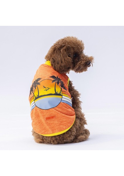 Turuncu Sunrise Kedi Köpek Tişörtü