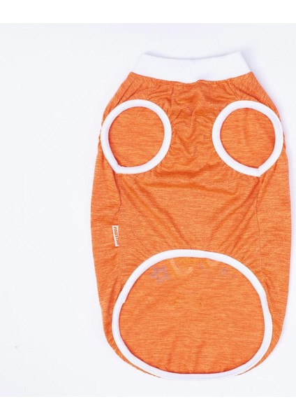 Turuncu Joy Kedi Köpek Tişörtü indirimleri