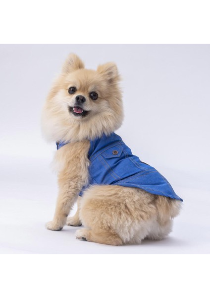 Denim Look Kedi Köpek Gömleği